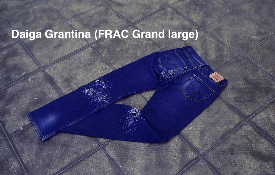 Daiga Grantina (FRAC Grand large)