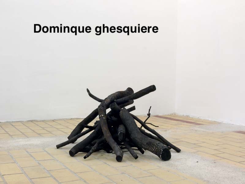 Dominque ghesquiere feu