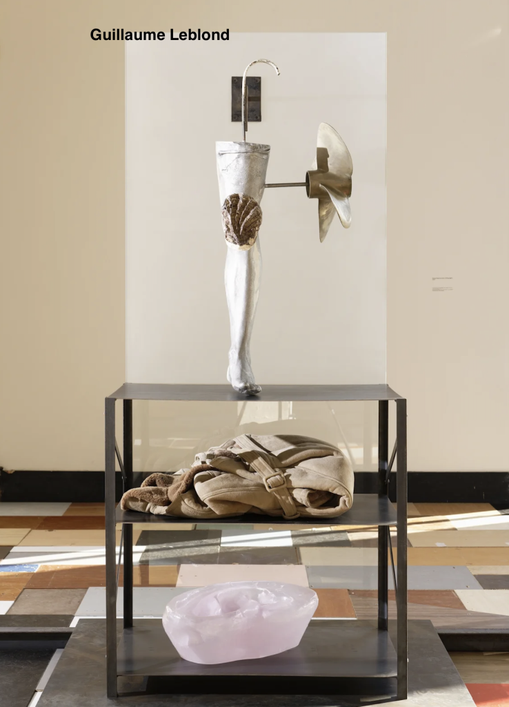 Guillaume Leblond copie