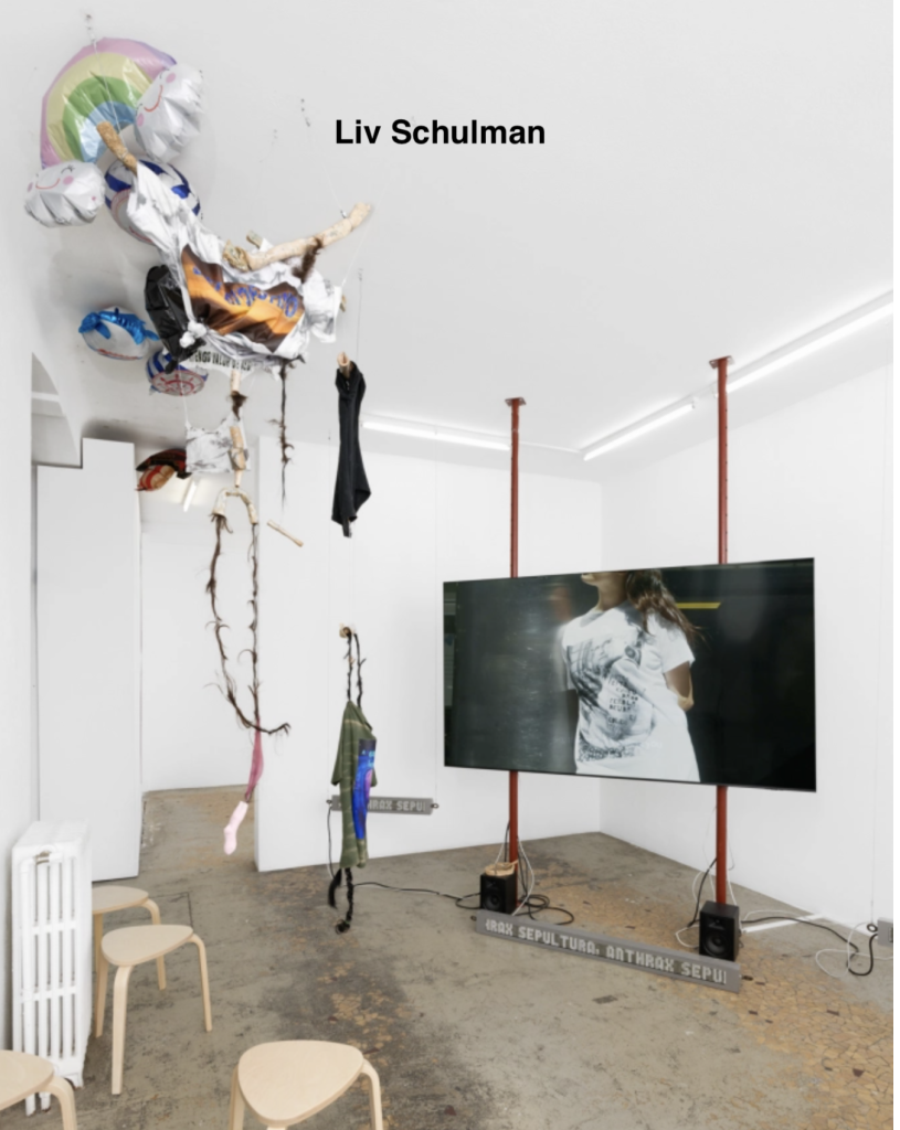 Liv Schulman install