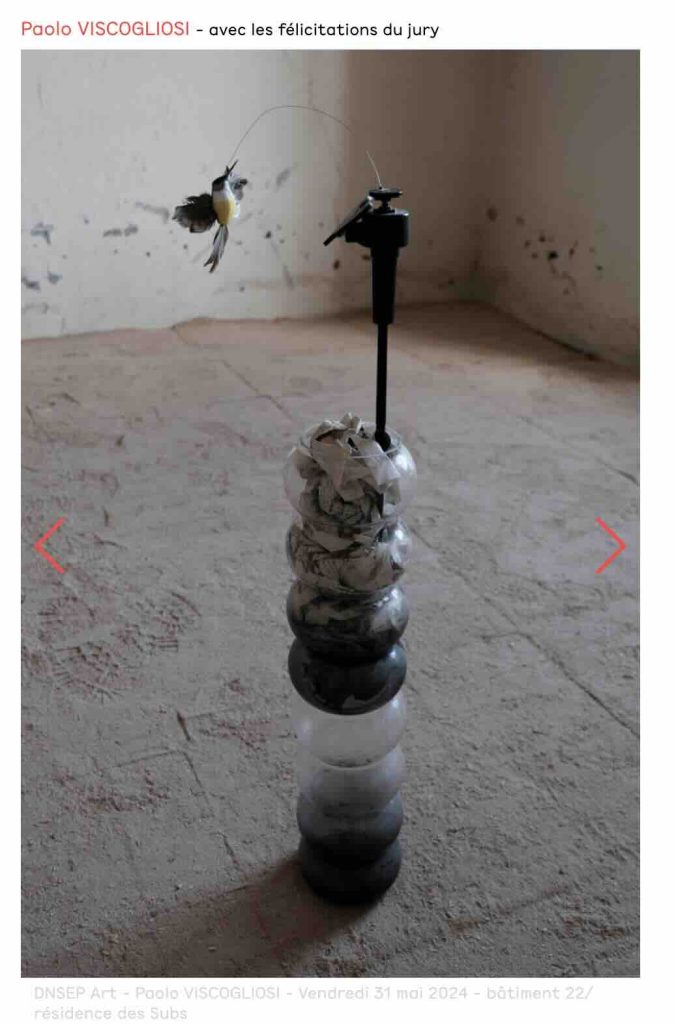 Paolo Viscogliosi copie